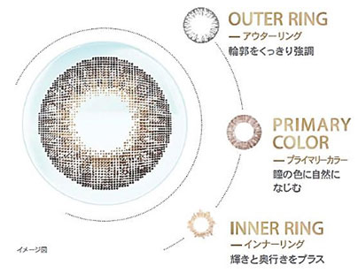 カラー構造 イメージ図