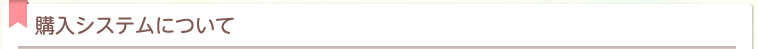 購入システムについて